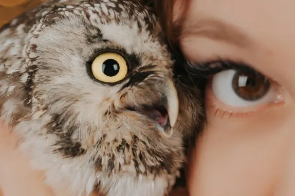 Efbet Casino Tacaíocht